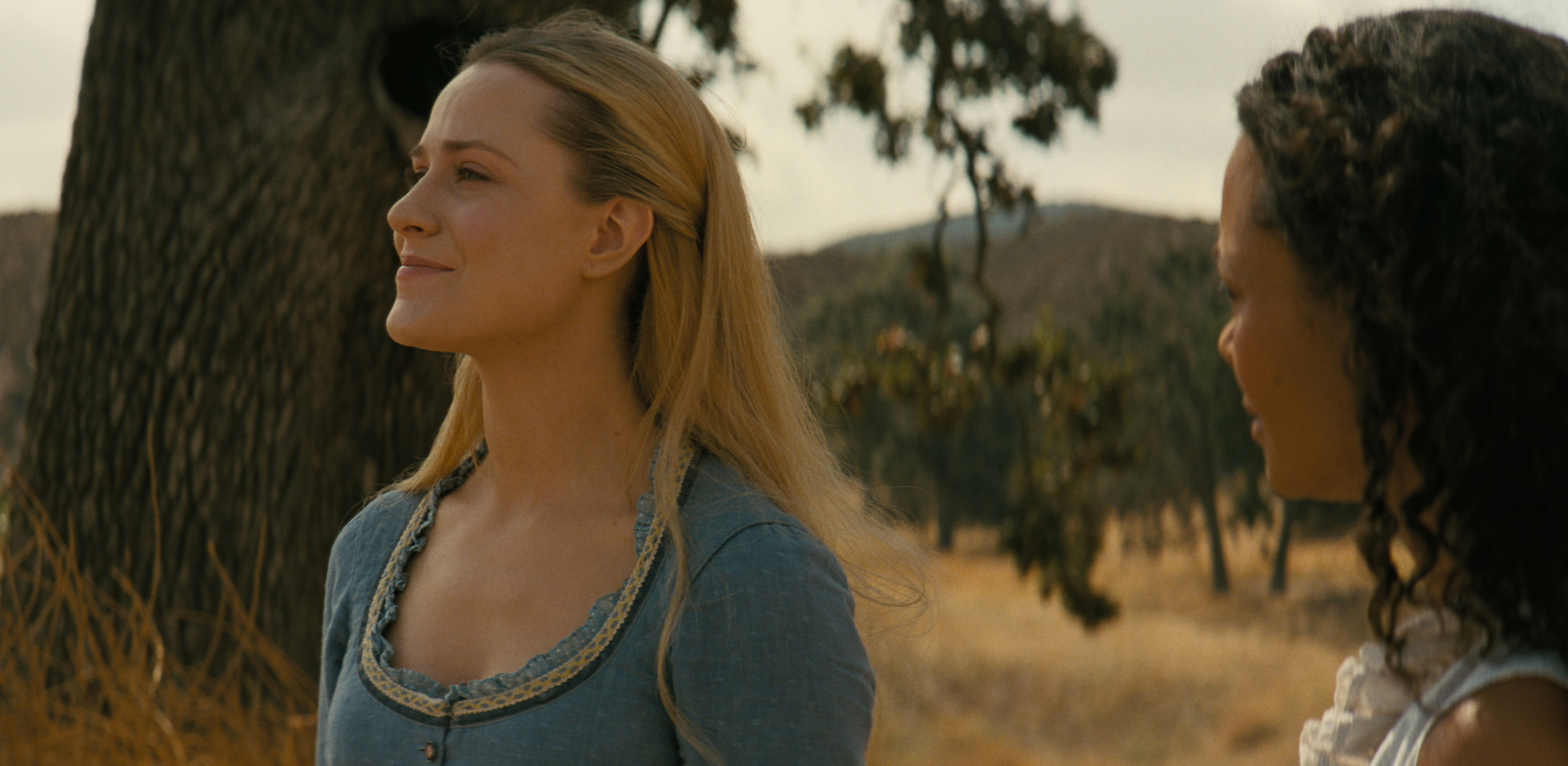 'Westworld': Dolores (Evan Rachel Wood) looks to the horizon with Maeve (Thandiwe Newton)