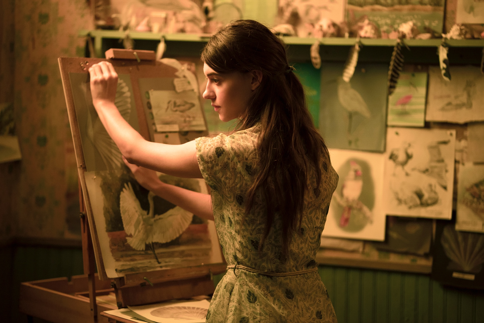 'Where the Crawdads Sing' Daisy Edgar-Jones as Kya wearing a dress looking over her shoulder while hanging up drawings