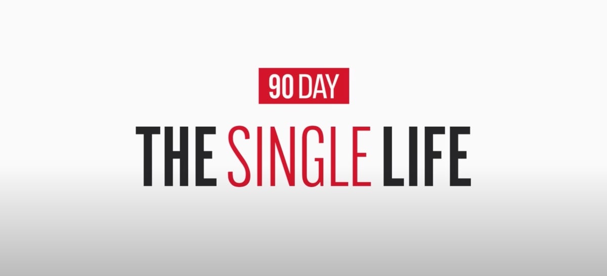 '90 Day: The Single Life' Logo from TLC.