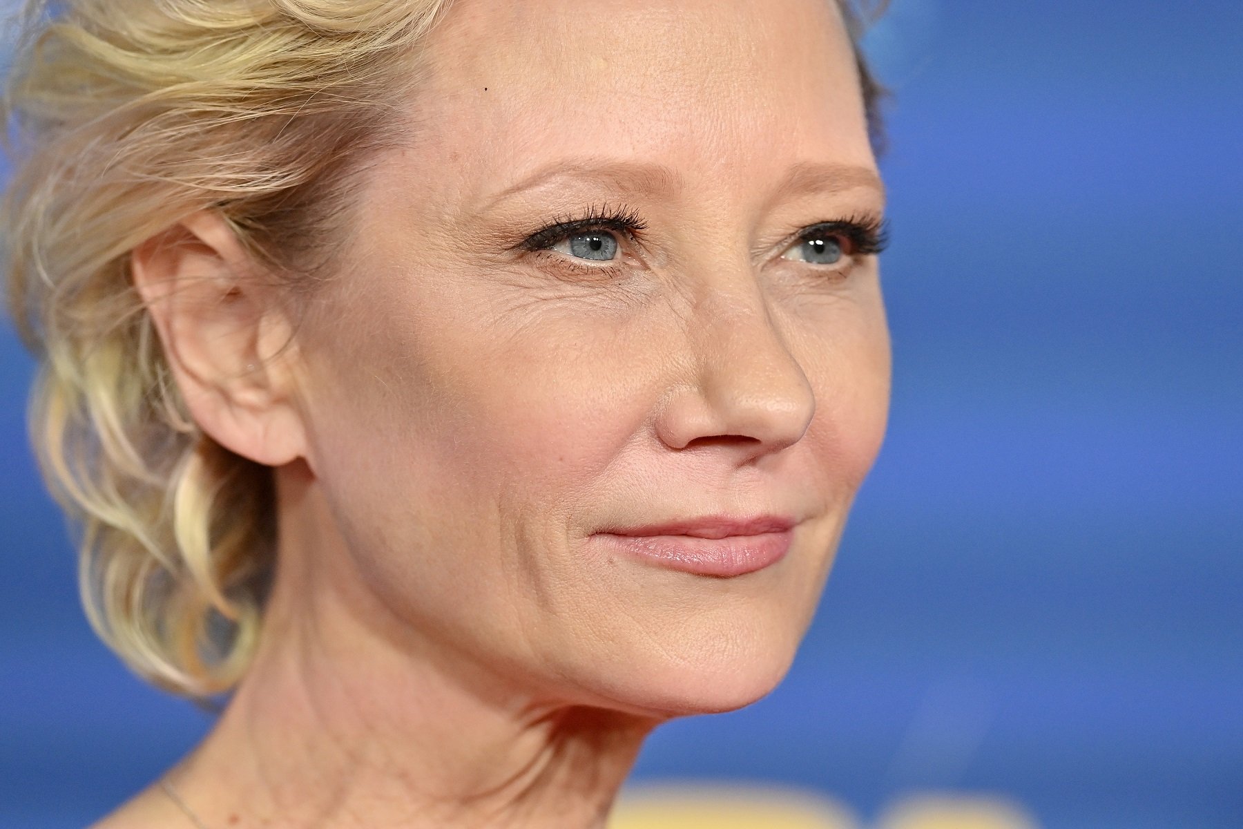 Anne Heche attends the 74th Annual Directors Guild of America Awards