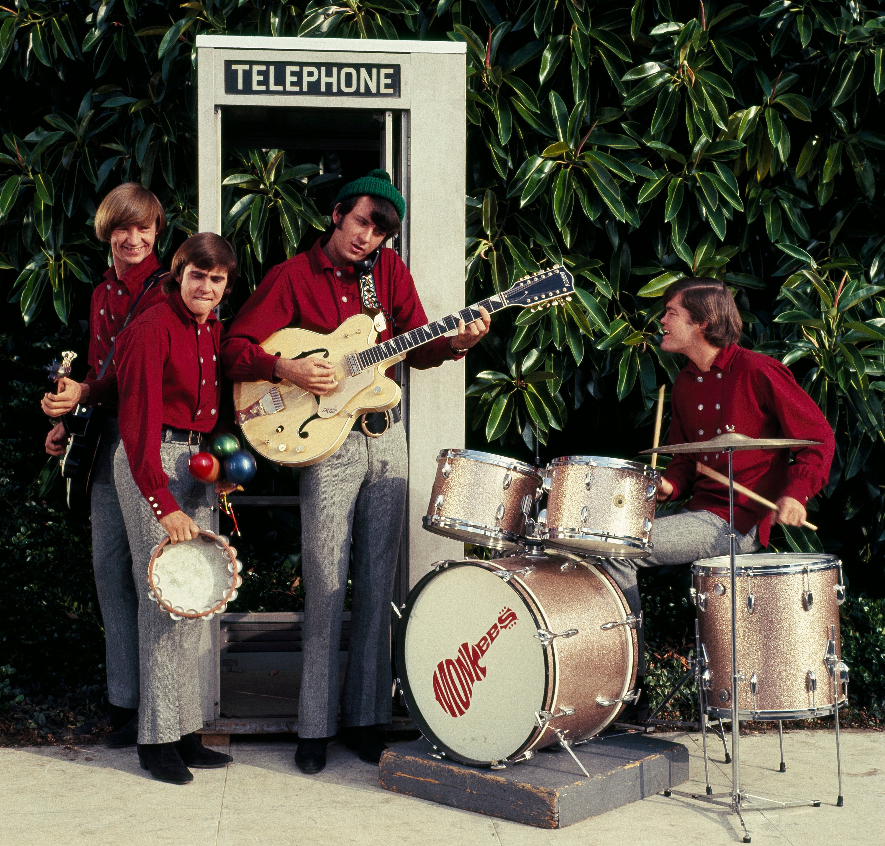 The Monkees' Peter Tork, Davy Jones, Mike Nesmith, and Micky Dolenz near plants during the "I'm a Believer" era