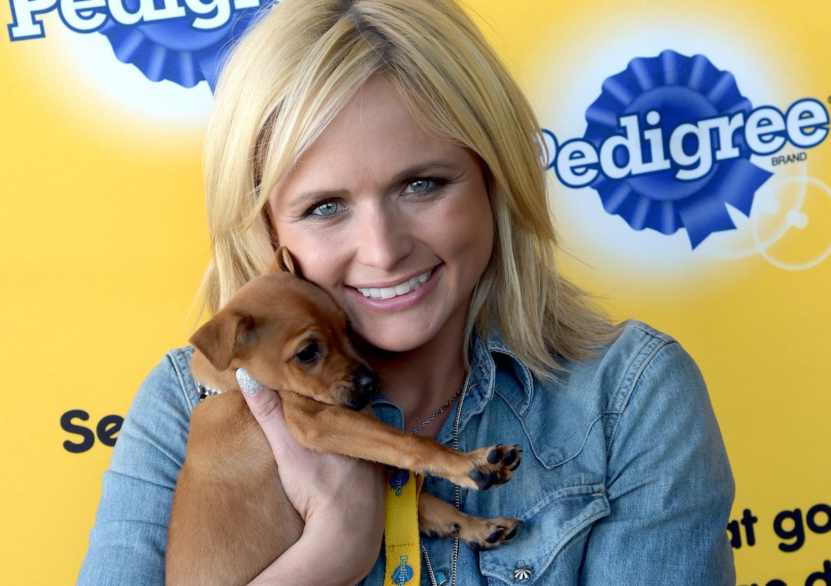 Miranda Lambert rodeo, Miranda Lambert PBR