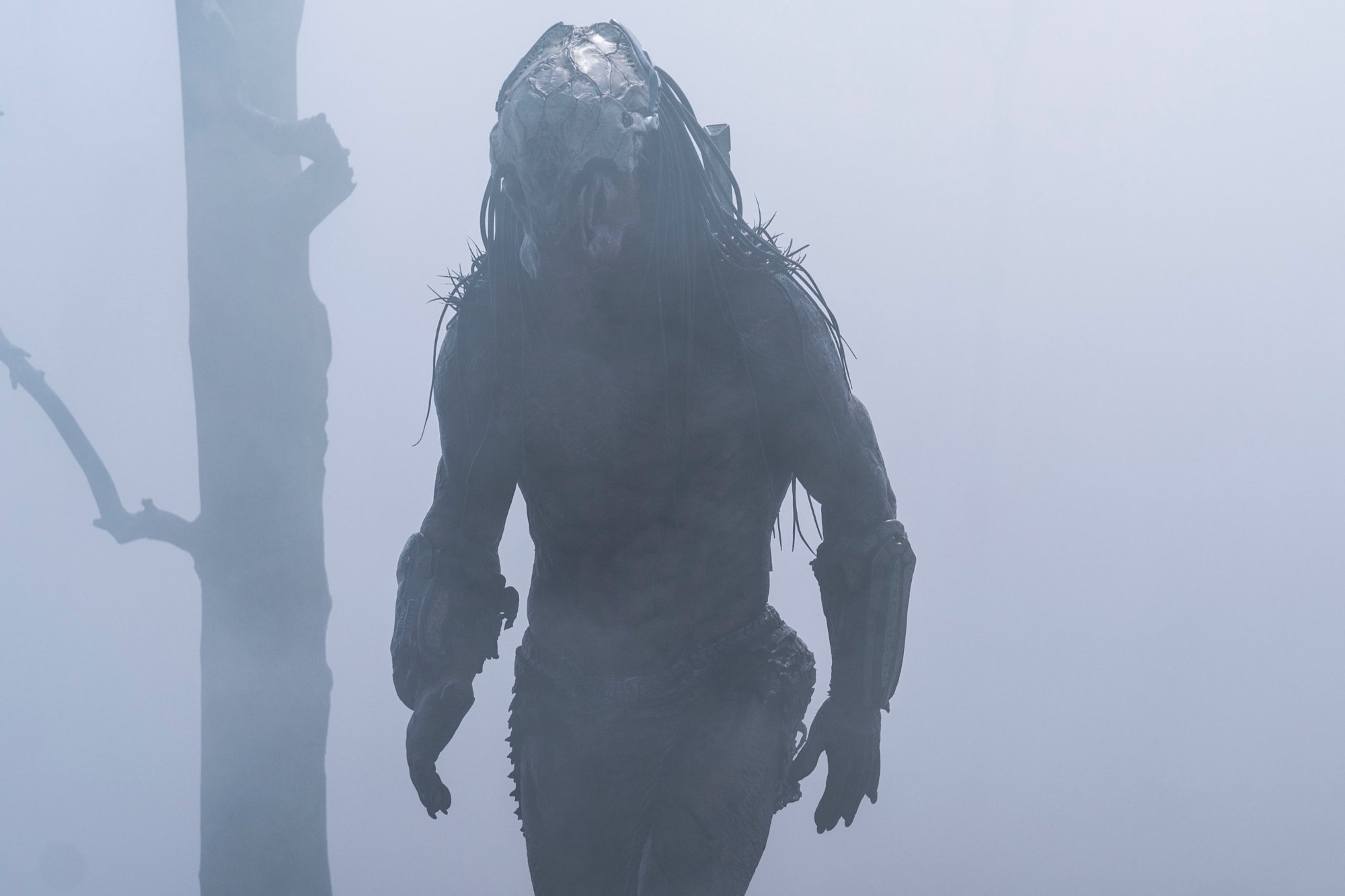 'Prey' Dane DiLiegro as the Predator, hunting humans. He's standing in the Predator costume surrounded by mist and a single tree in the background.