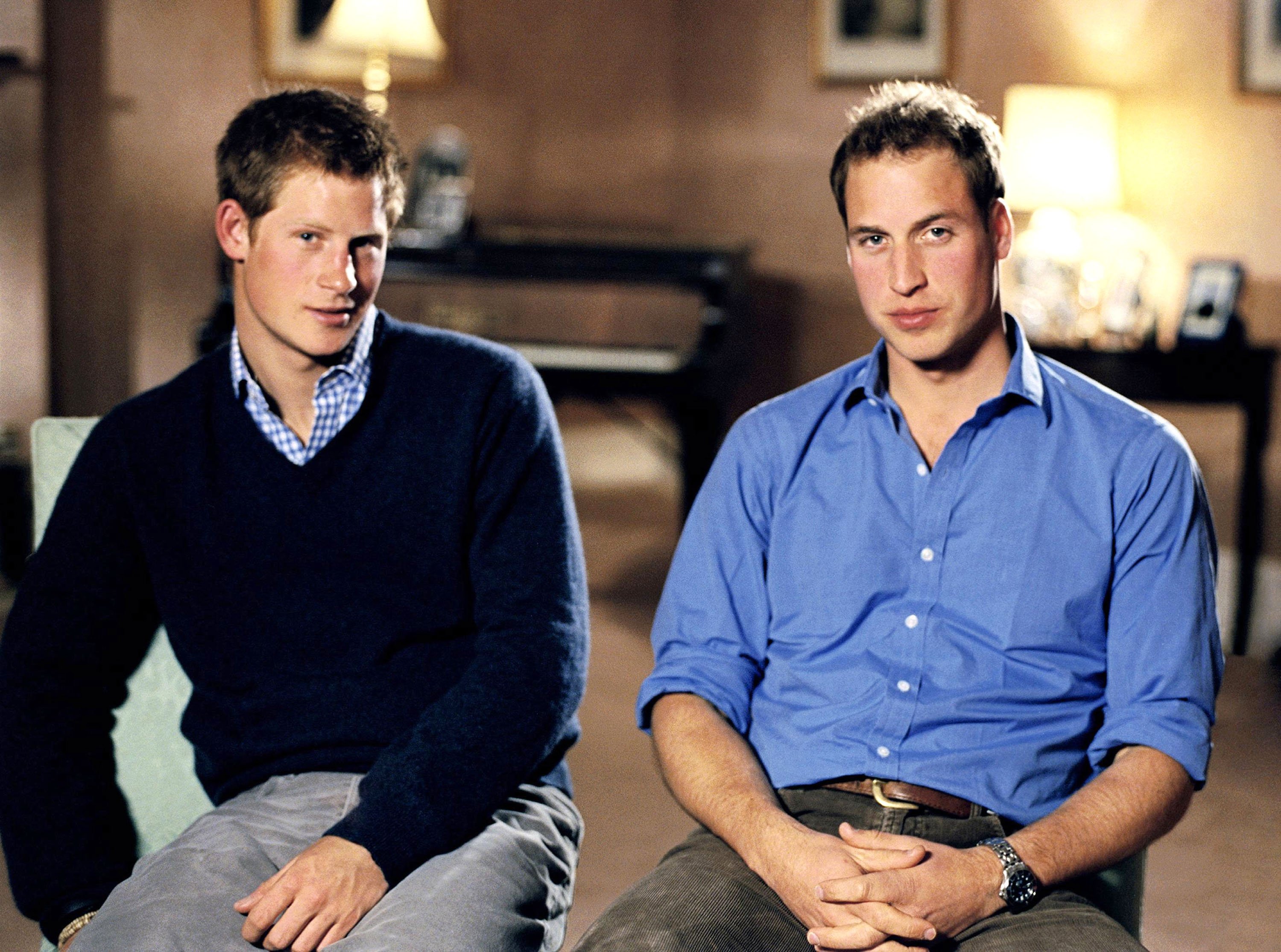 Prince Harry and Prince William, who tried to proect his broither from what was going on in their parents' relationship, speaking about a concert to mark the anniversary of Princess Diana's death