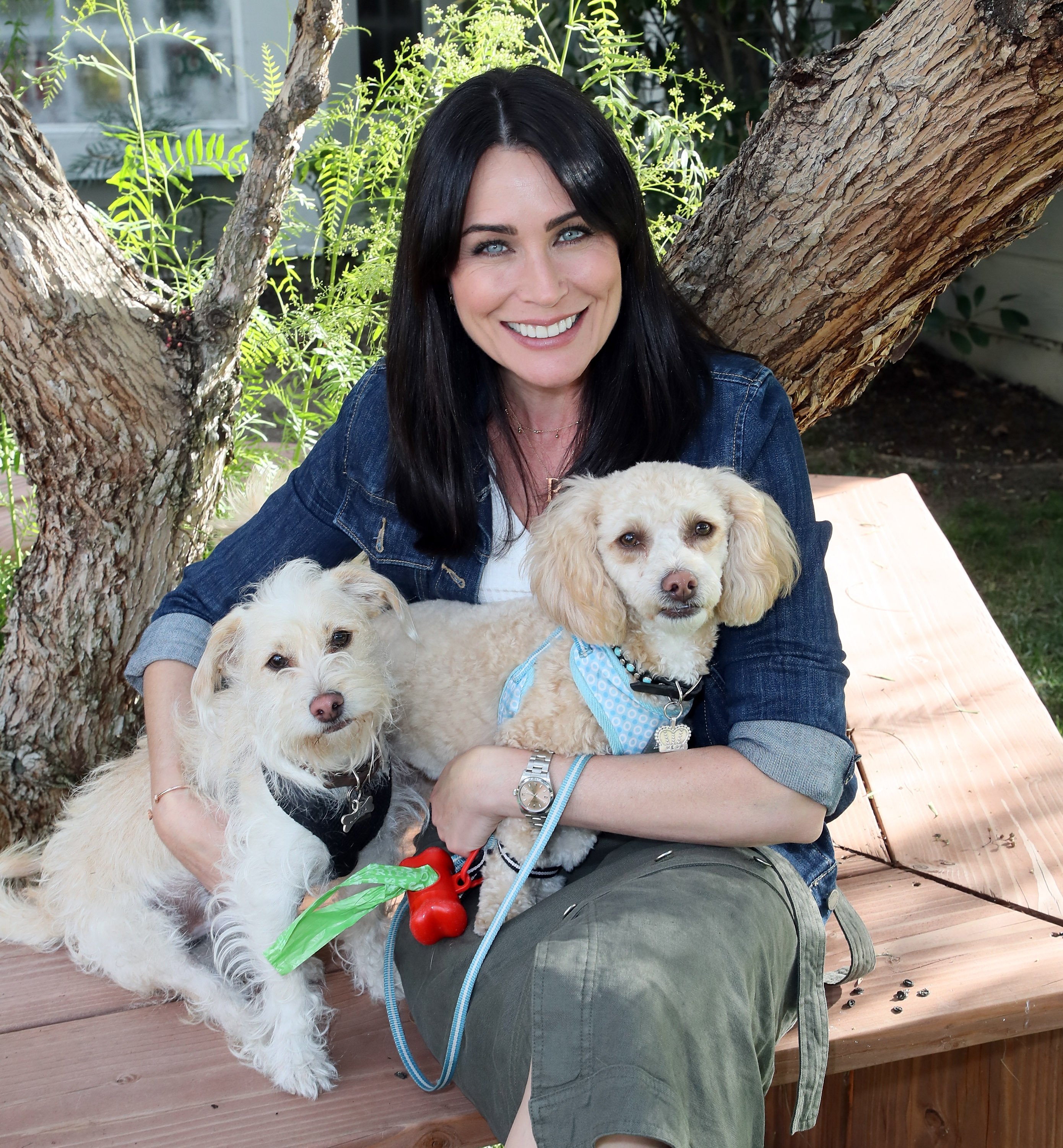 'The Bold and the Beautiful' star Rena Sofer poses with two dogs during a visit to Hallmark's 'Home & Family.'