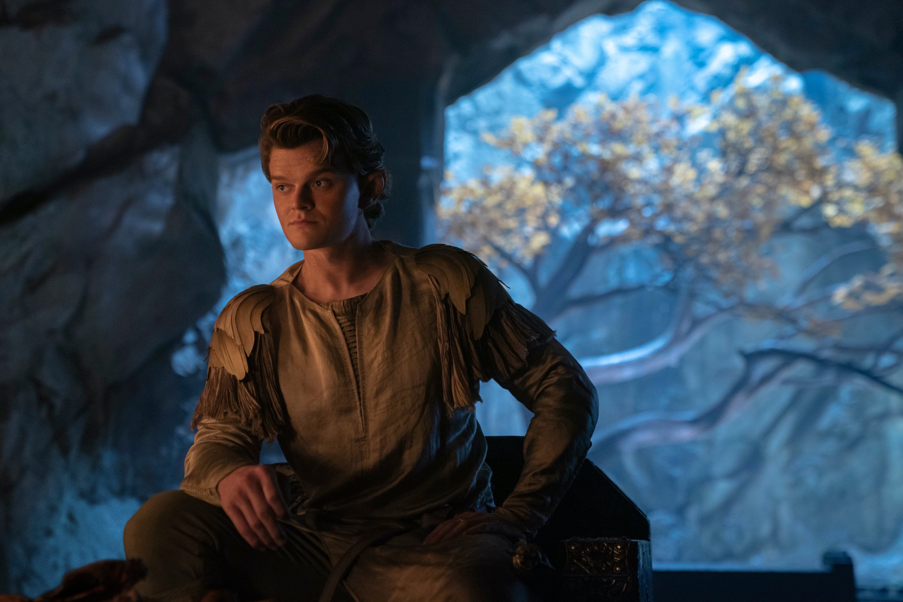 Robert Aramayo as Elrond in Lord of the Rings: The Rings of Power