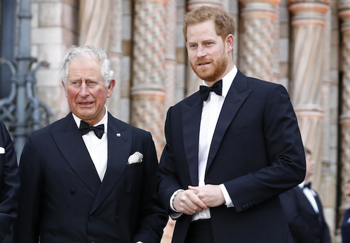 Prince Harry, whose memoir could benefit King Charles, according to a royal expert, stands next to King Charles