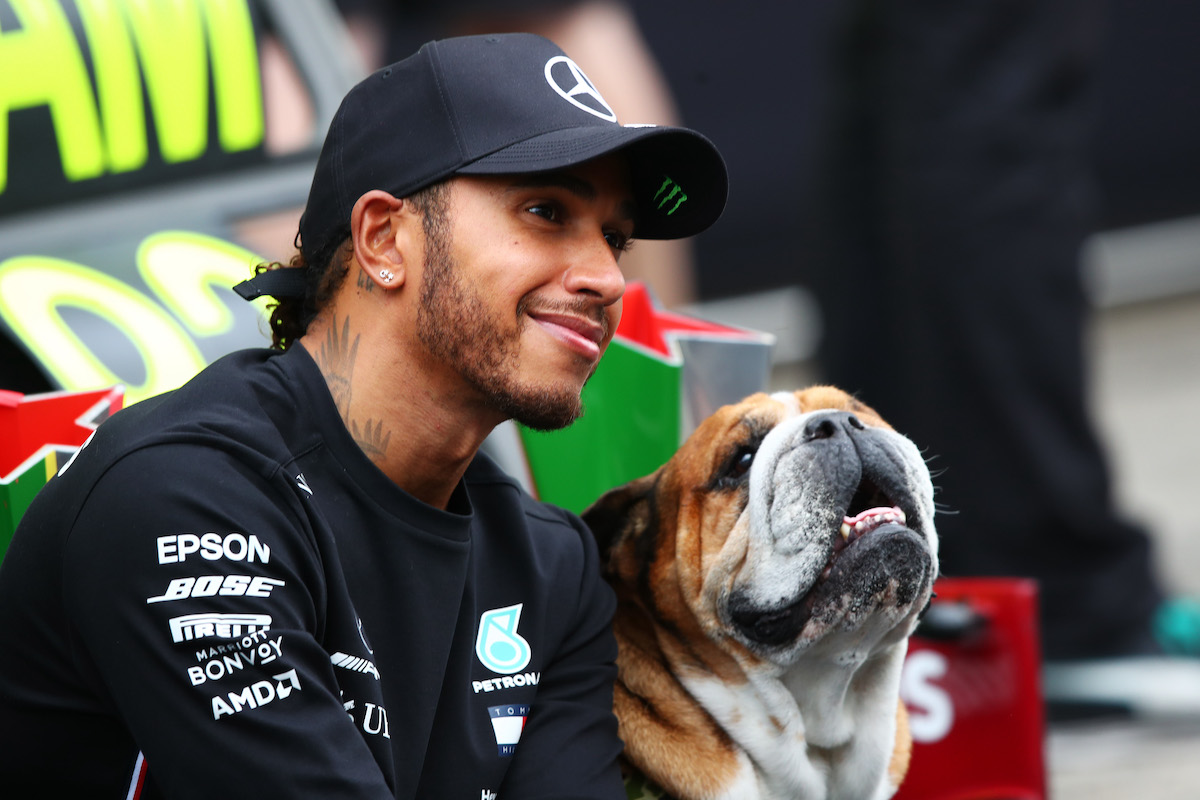 Lewis Hamilton dog Roscoe