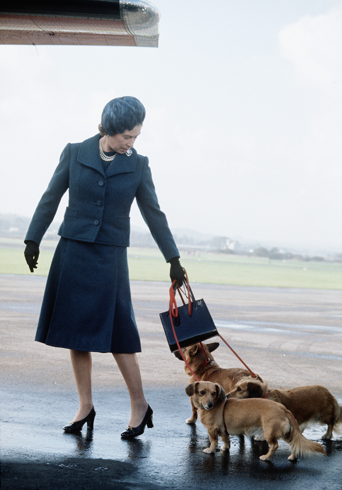 Queen Elizabeth II, whose reign appears in photos, walks with dogs
