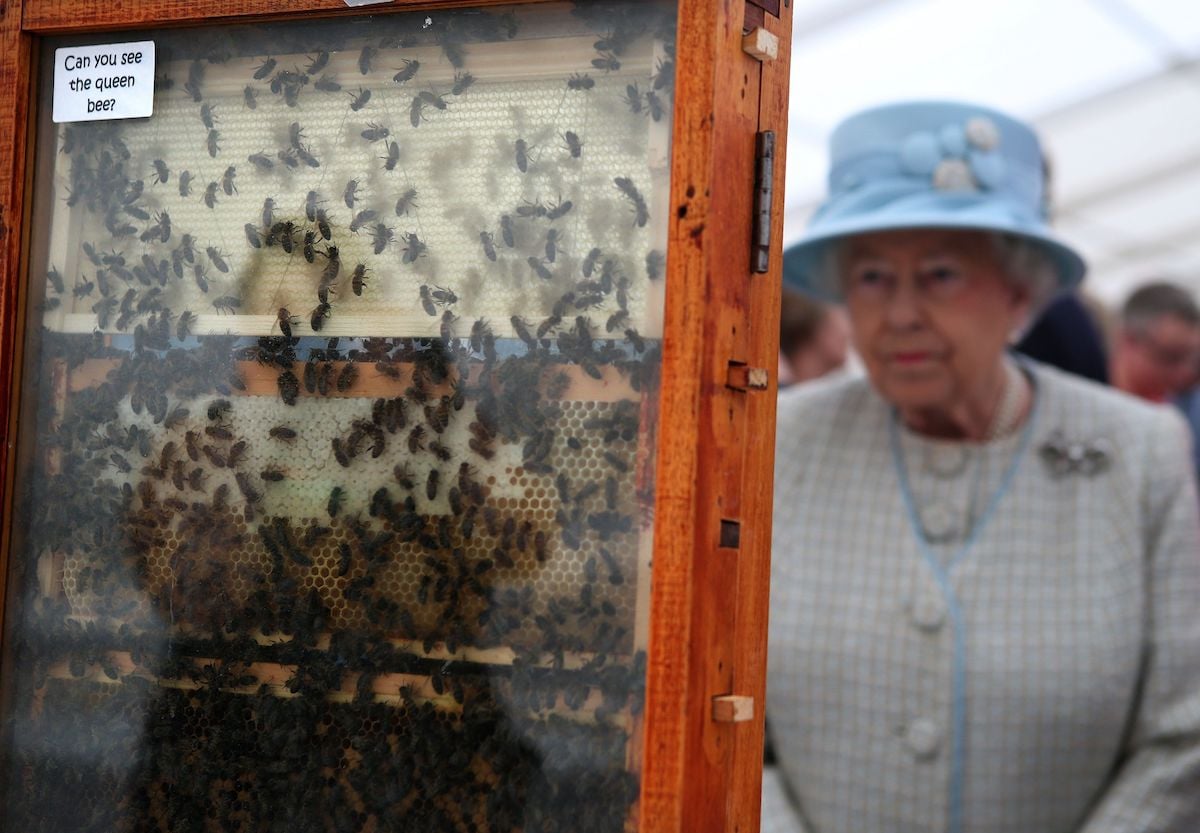 Queen Elizabeth's bees, queen's bees, Queen Elizabeth bees