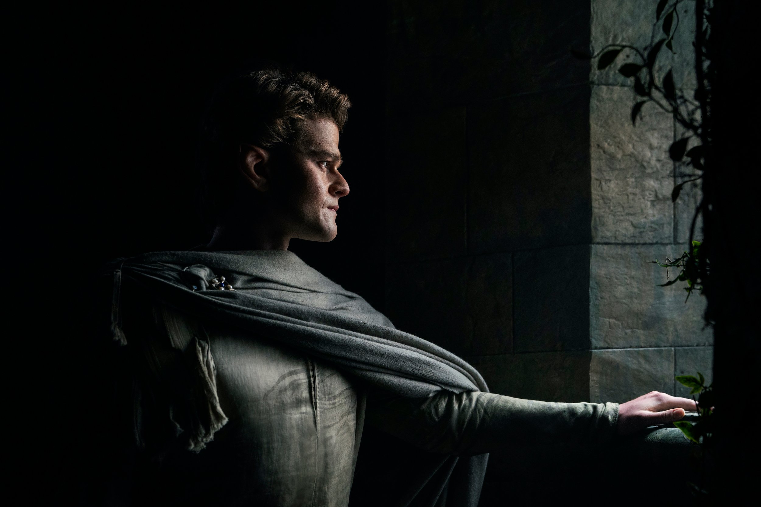 Robert Aramayo as Elrond in Lord of the Rings: The Rings of Power
