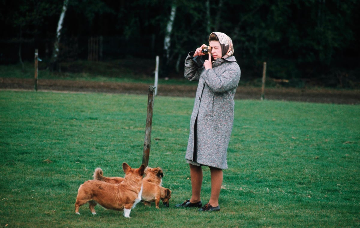 Queen Elizabeth II photographing her species in Windsor Park in 1960 in Windsor, England