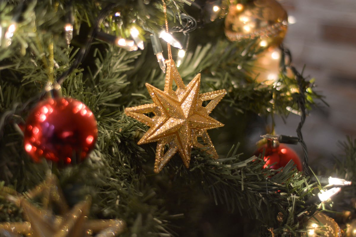 Close up of a Christmas ornament on a tree