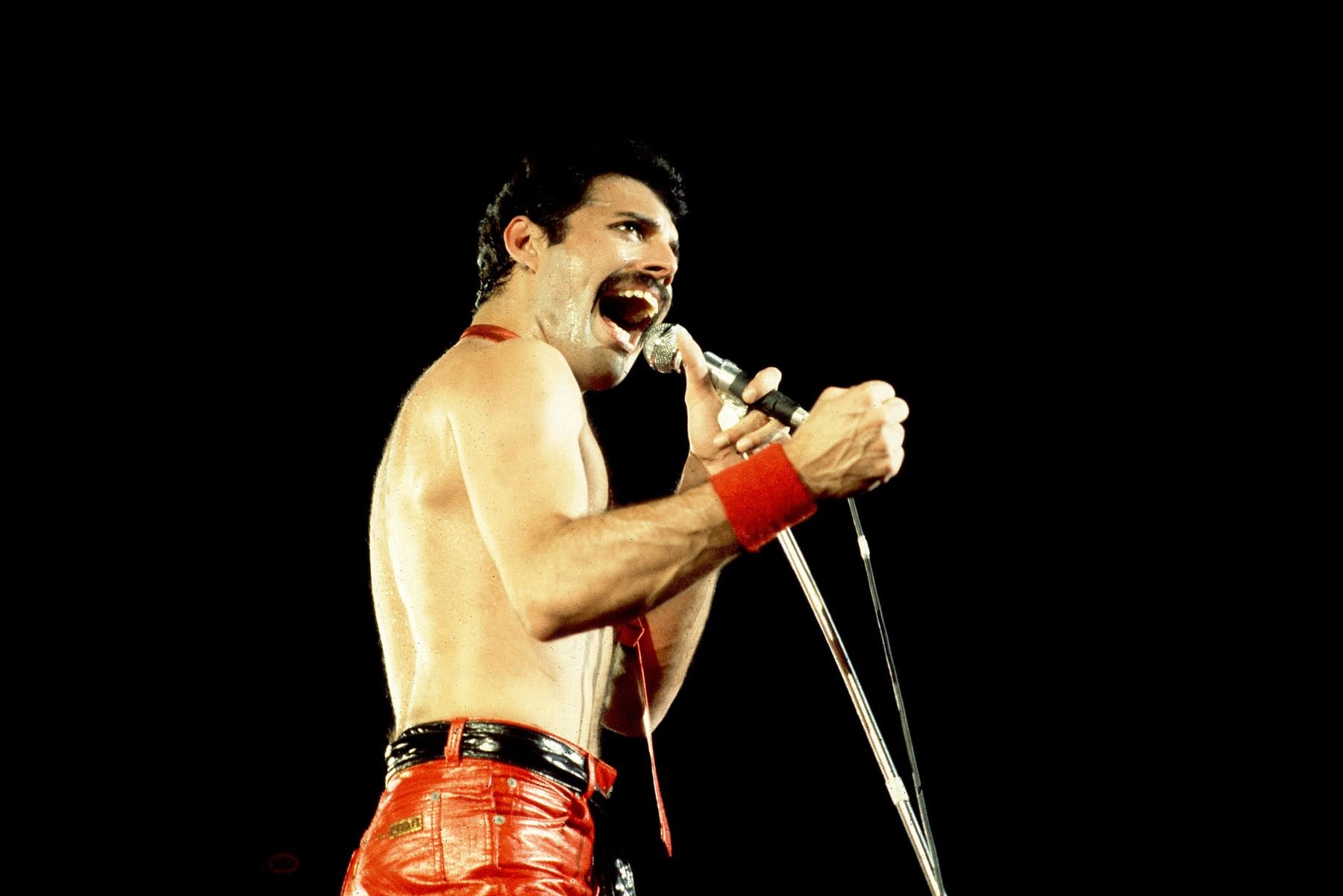 Freddie Mercury performing with Queen in Chicago, Illinois