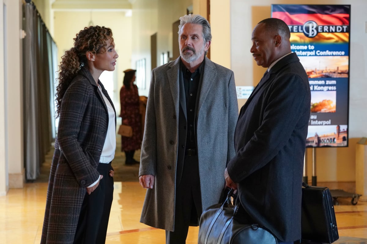 Marem Hassler as Lena Paulsen, Gary Cole as FBI Special Agent Alden Parker, and Rocky Carroll as NCIS Director Leon Vance