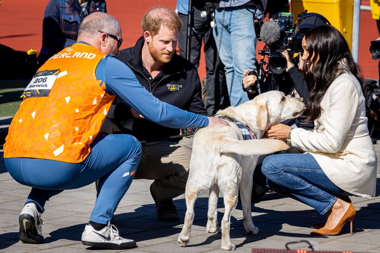 Prince Harry and Meghan Markle pet a dog during the Invictus Games. 