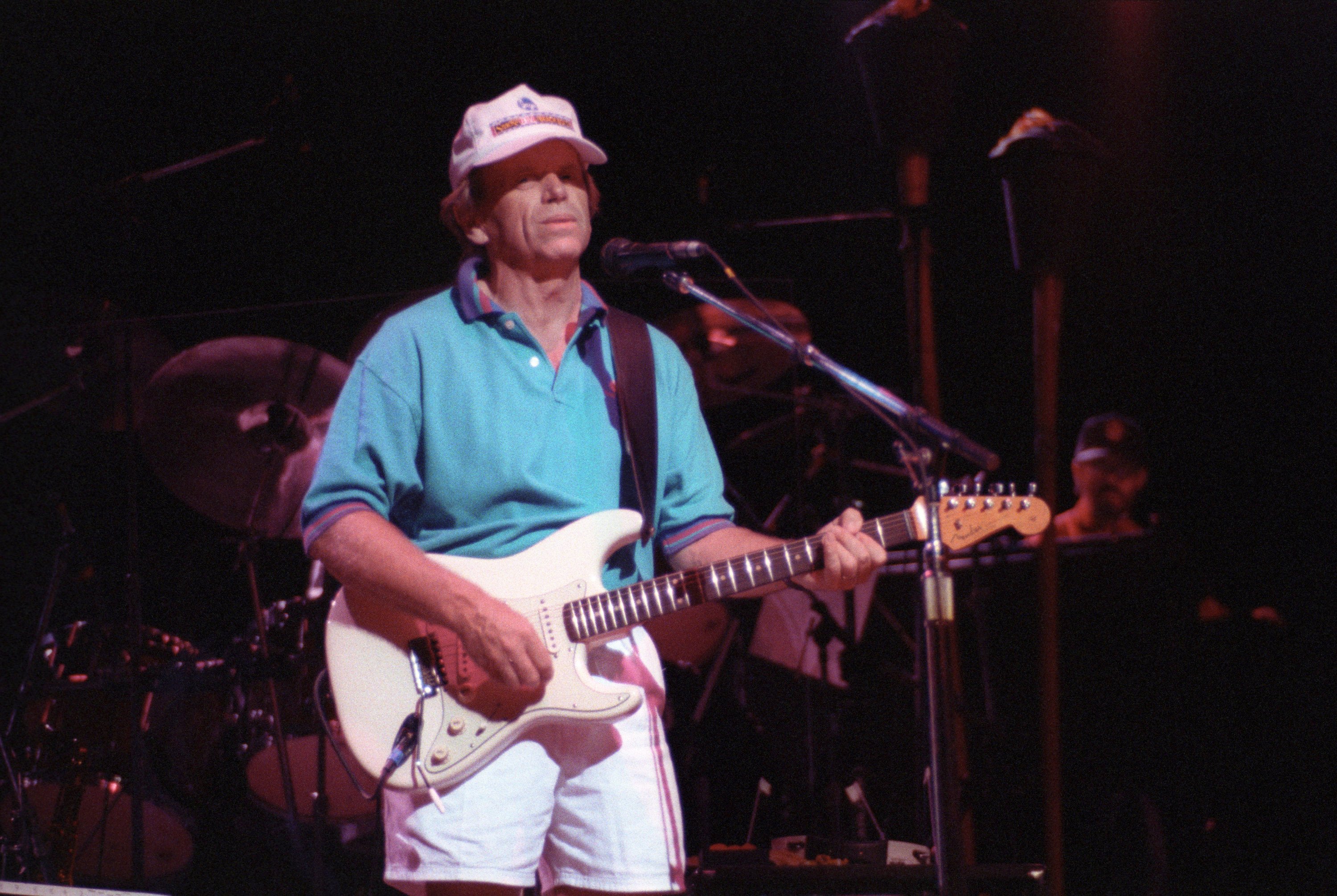 The Beach Boys perform on the Summer In Paradise Tour at the Minnesota State Fair