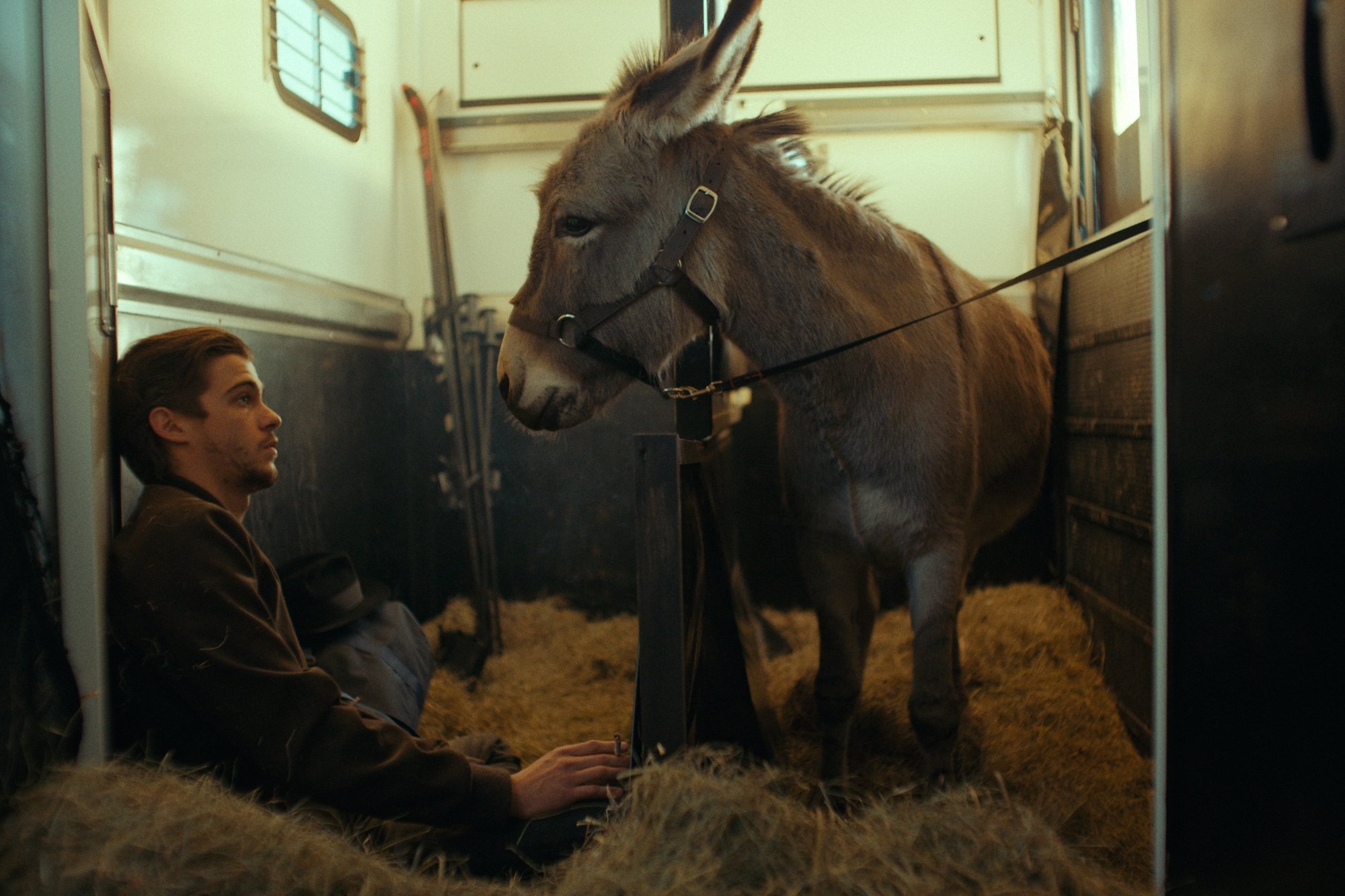 'EO' Lorenzo Zurzolo as Vito and EO sitting in a stall. Zurzolo is sitting on the ground in the hay, while EO looks at him.