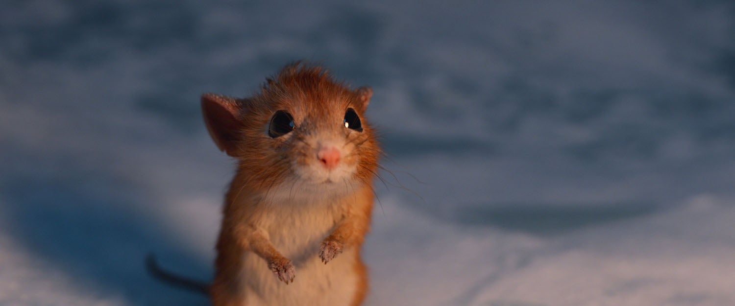 A production still of Nikolas's pet mouse in 'A Boy Called Christmas.' The film is a great choice for those looking for family-friendly movies to watch on Netflix.
