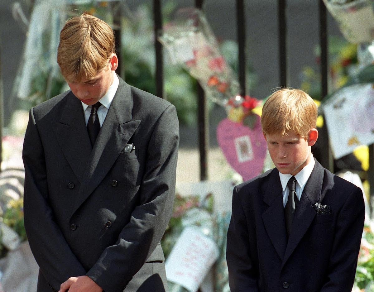 Prince William and Prince Harry at Princess Diana's funeral