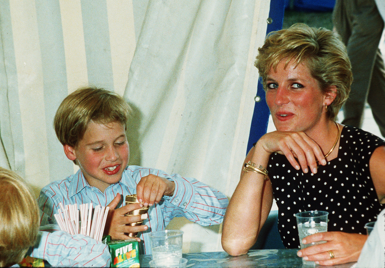 Diana, Princess of Wales, and Prince William enjoy refreshments at Windsor Great Park on June 01, 1991, in Windsor, England.