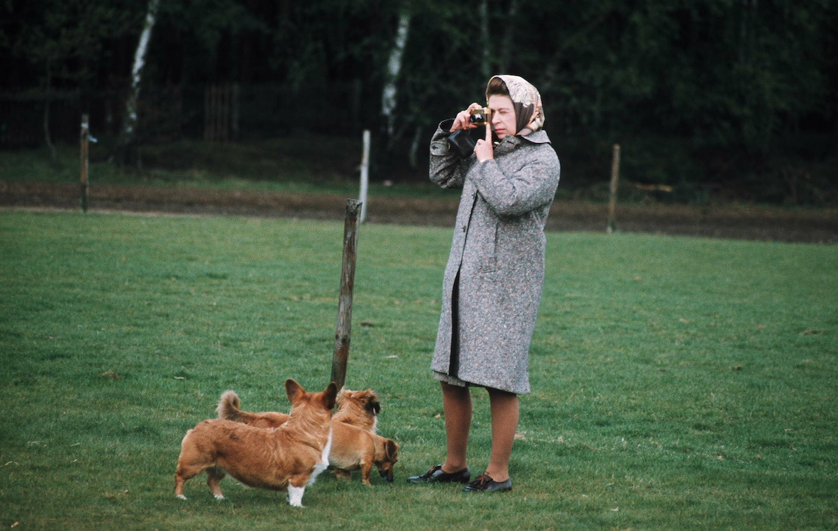 Queen Elizabeth II, who told a dog trainer she could've "saved" their "fee" when they said she had too many corgis because Prince Philip already told her, takes photographs while her corgis stand nearby