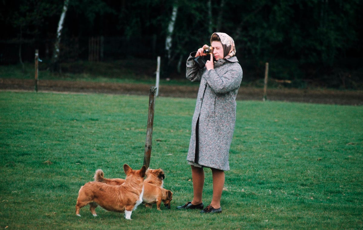 Queen Elizabeth II, who told a dog trainer she could've "saved" their "fee" when they said she had too many corgis because Prince Philip already told her, takes photographs while her corgis stand nearby