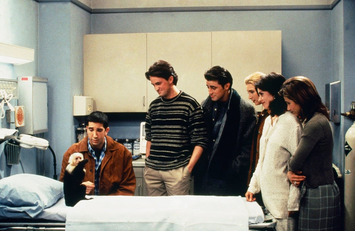 ‘Friends’: Apparently the Monkey Who Played Marcel Didn’t Like David Schwimmer, Either
