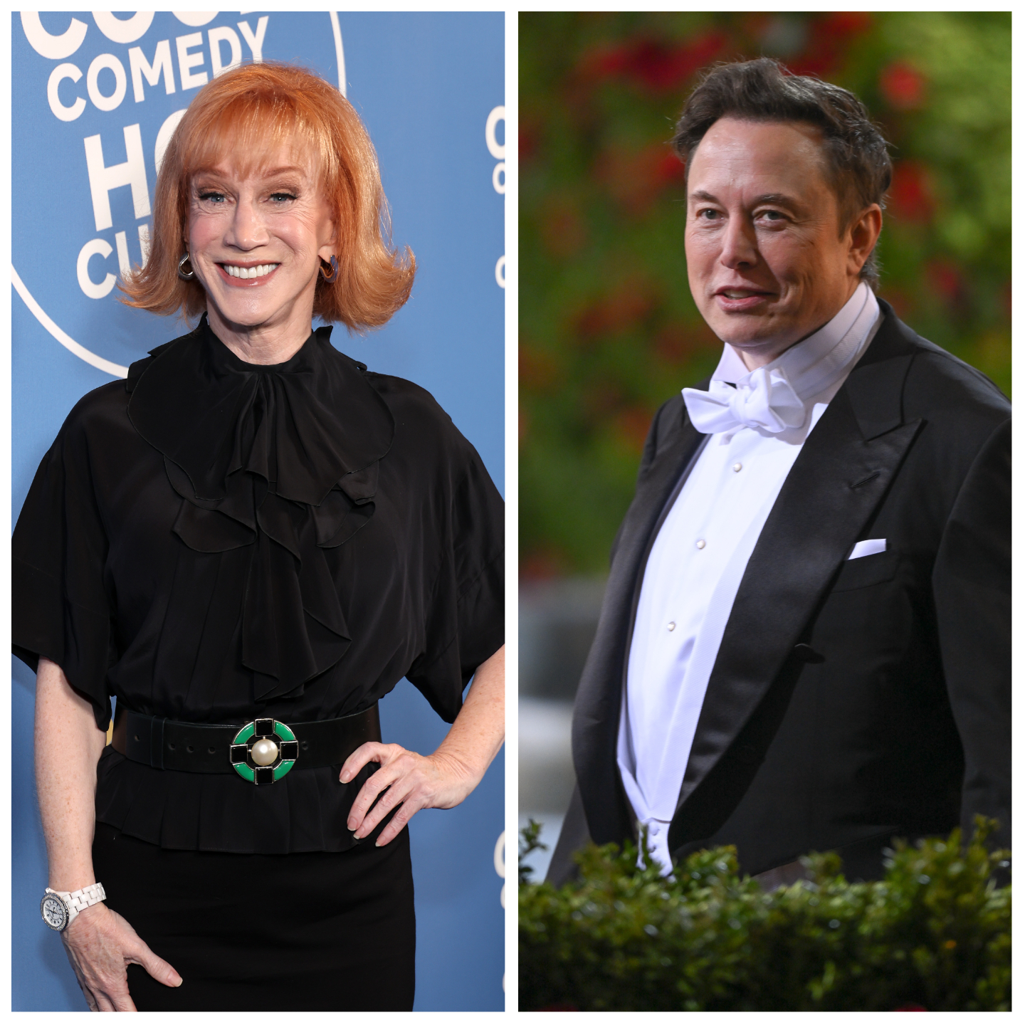 Kathy Griffin on the red carpet in September. Elon Musk at a gala.