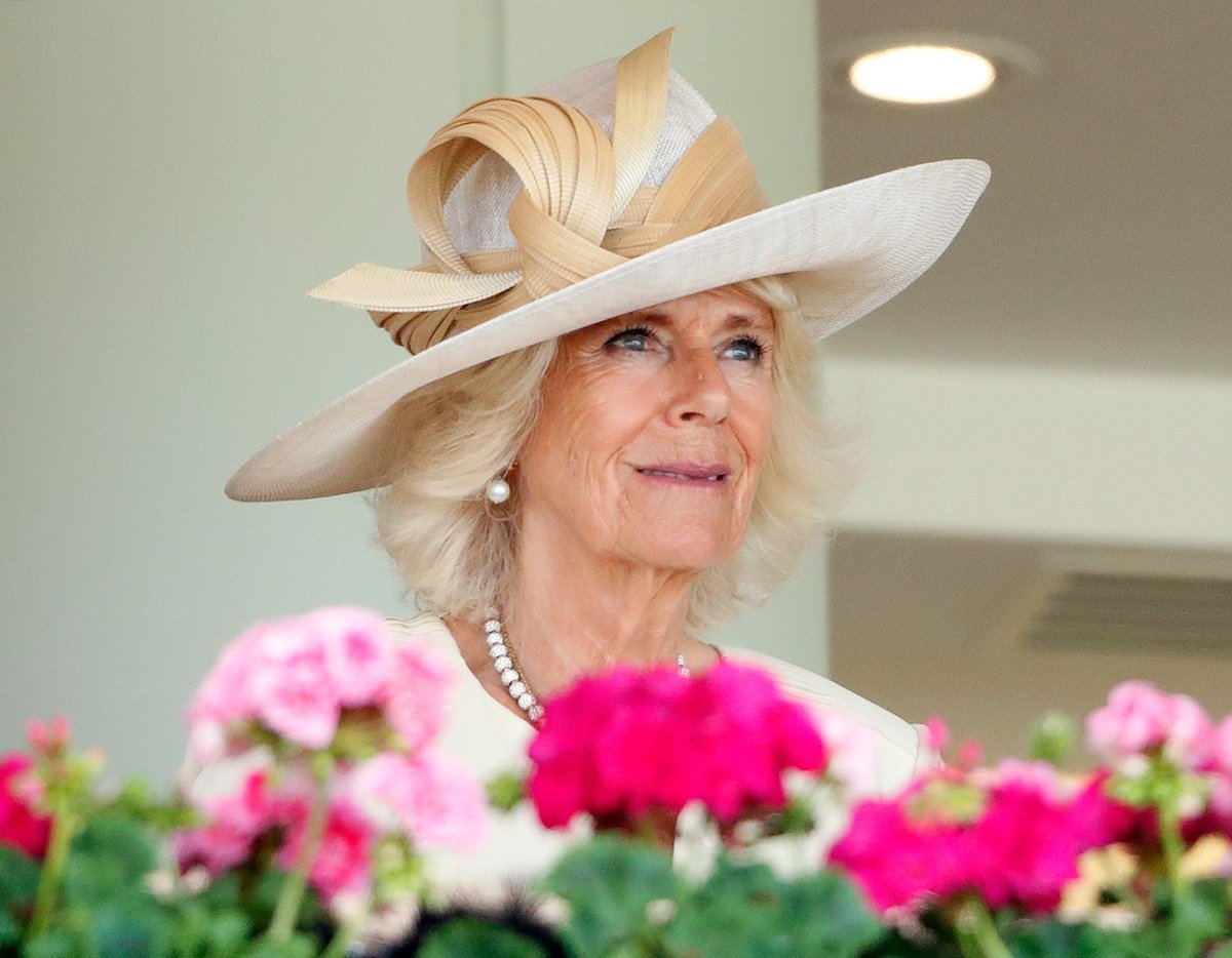 Camilla Parker Bowles watches the racing as she attends day 2 of Royal Ascot at Ascot Racecourse