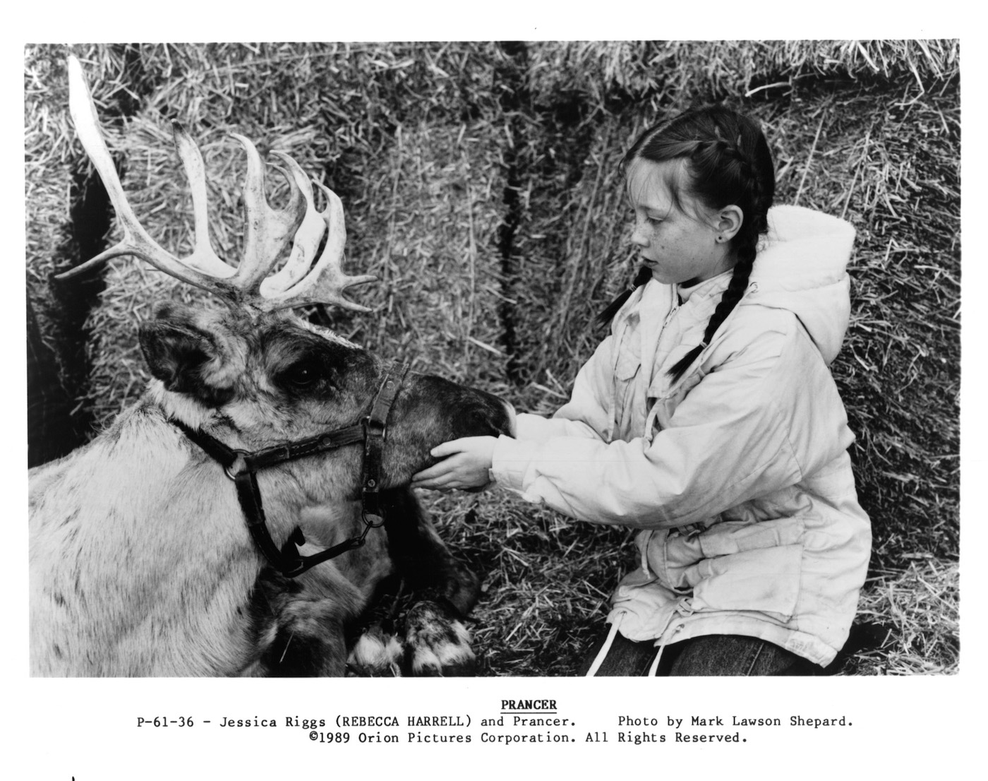 prancer-star-rebecca-harrell-tickell-recalls-how-sam-elliott-became