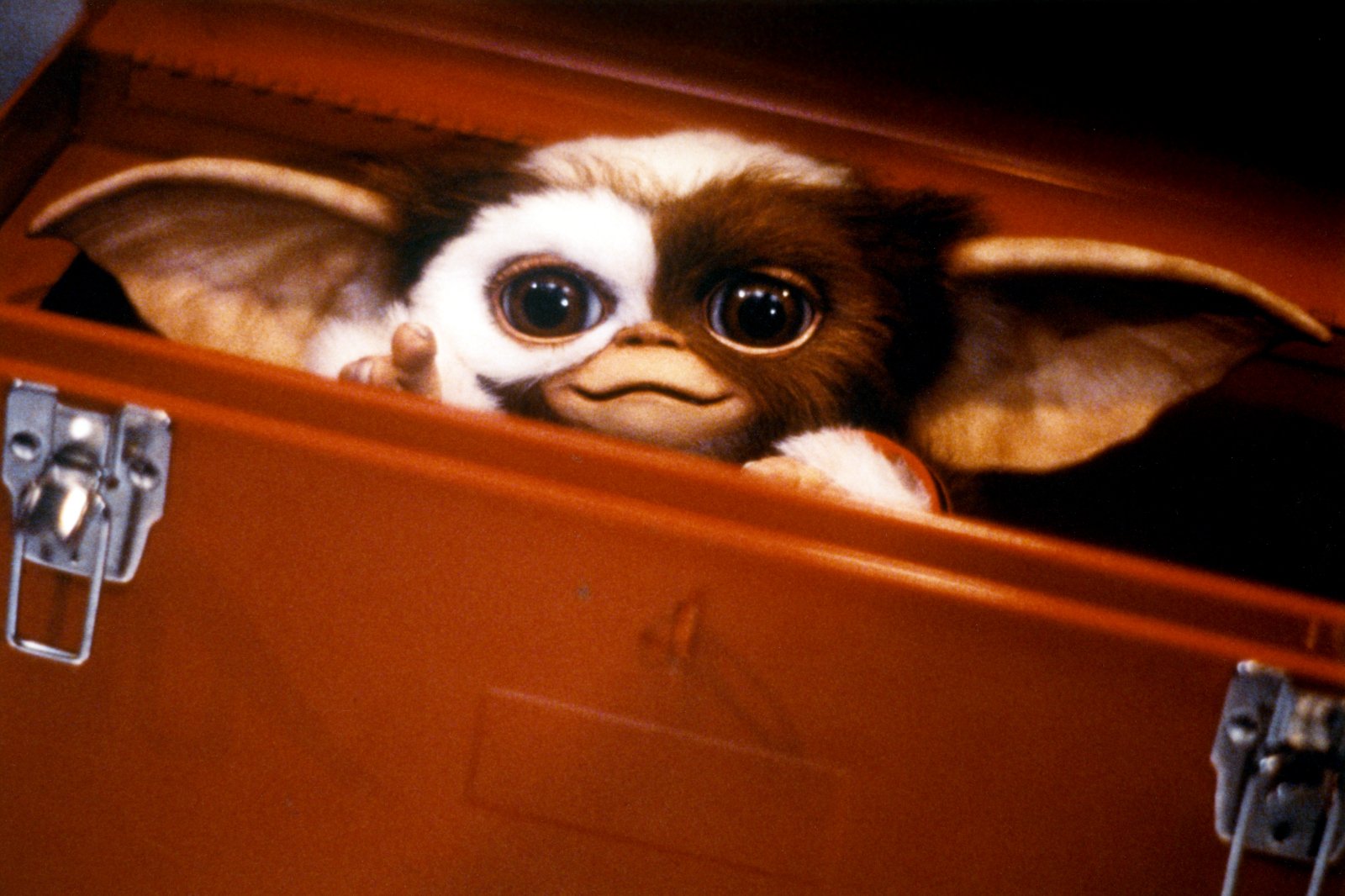 Gizmo in 'Gremlins' for our article about where to stream the movies in 2022. He's poking his head out from a brown briefcase and smiling.