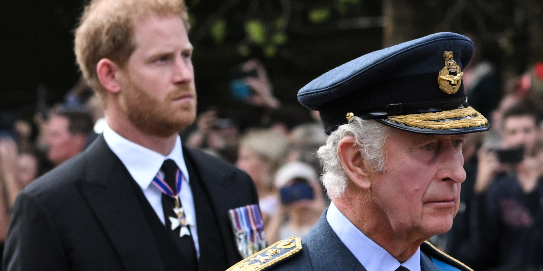 Prince Harry and Prince Charles walk at Queen Elizabeth's funeral.