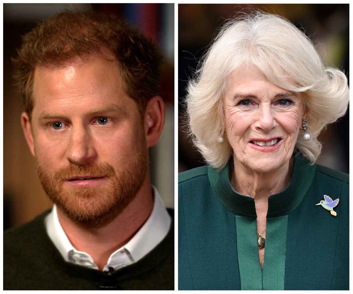 Composite photo of Prince Harry and his stepmother, Queen Consort Camilla Parker Bowles.