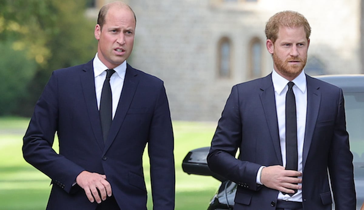 Prince William, whom Prince Harry described as his 'beloved brother and archnemesis' in 'Spare', walks with Prince Harry