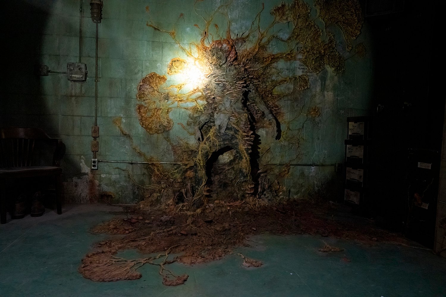 The Cordyceps fungus grows around a person attached to a wall in The Last of Us