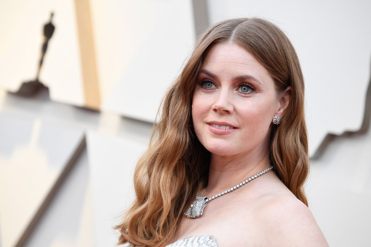 Amy Adams at the Academy Awards.