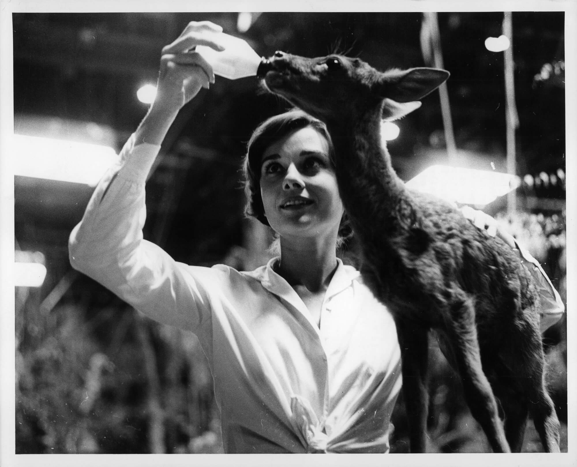 A black-and-white photo of Audrey Hepburn bottle feeding a baby deer