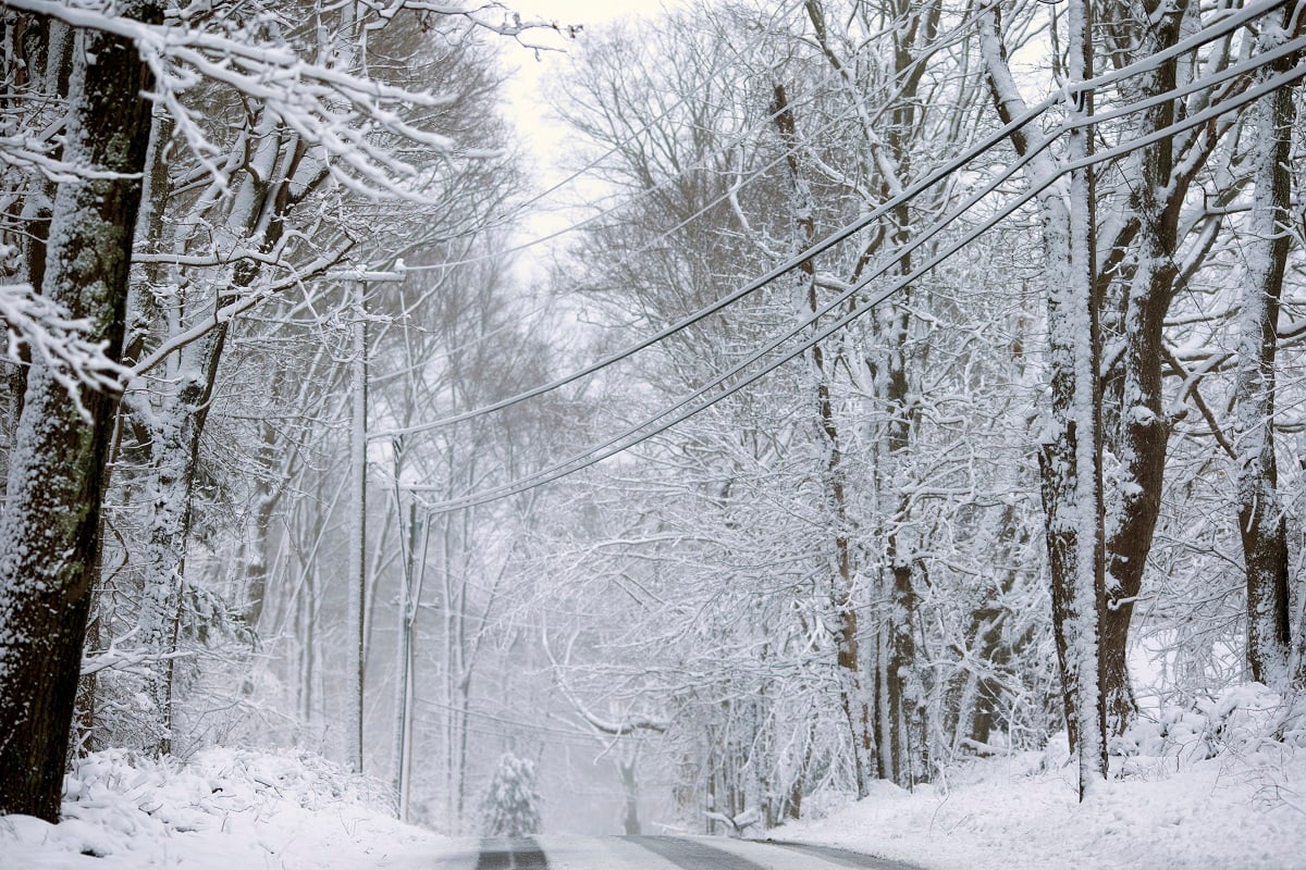 Power lines coasted in heavy snow after a storm in Madison, Connecticut