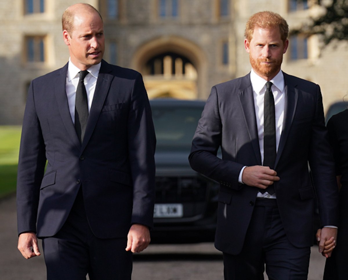 Prince Harry, who said Prince William teased him about his anxiety in 'Spare', walks with Prince William