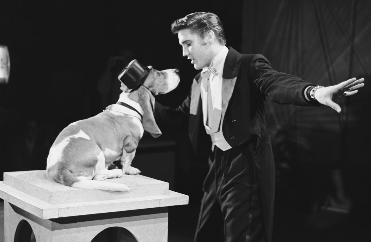 elvis presley hound dog