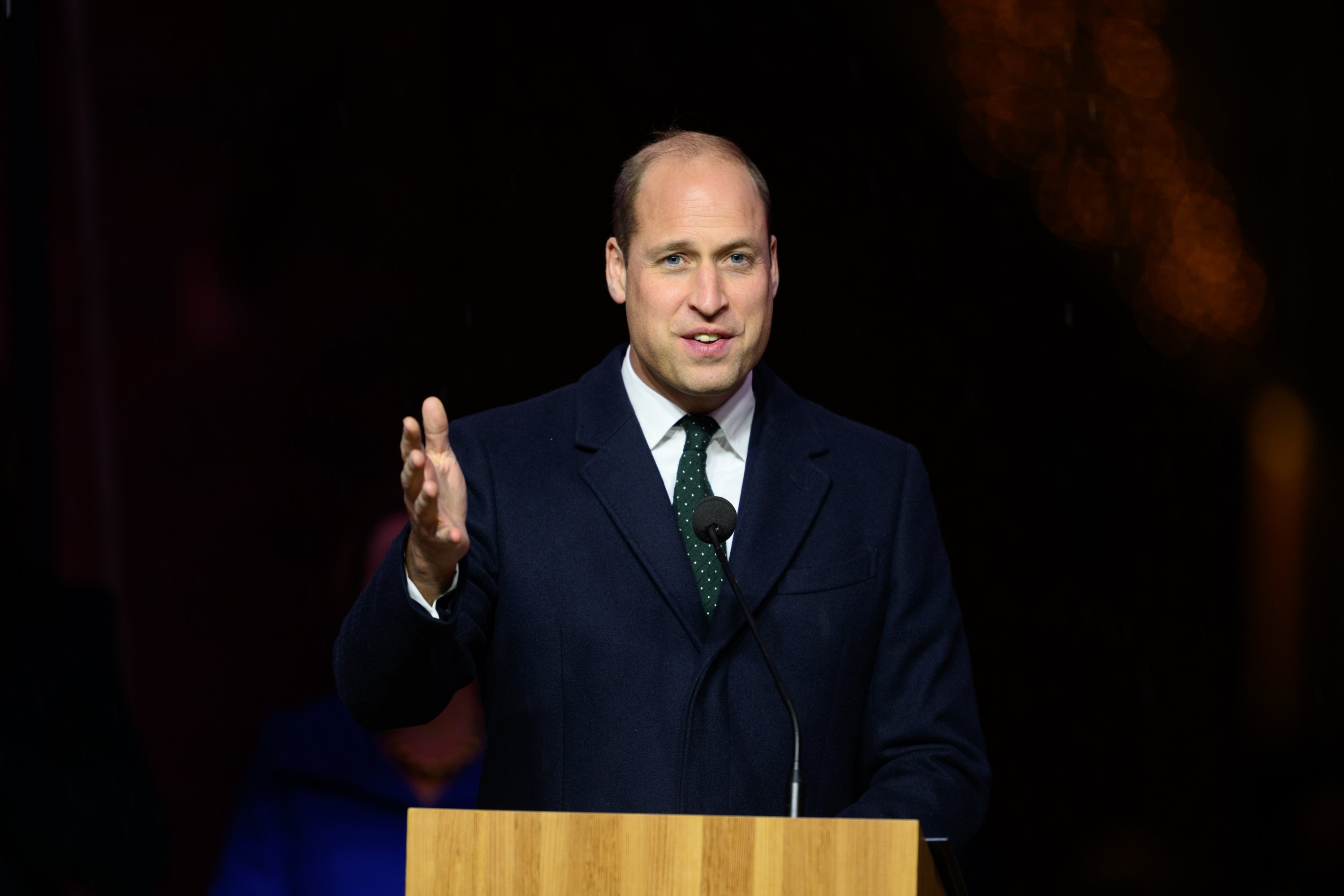 Prince William gives a speech.