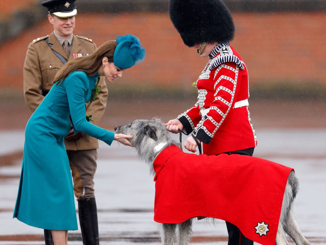 Kate Middleton, Princess of Wales (in her role as Colonel of the Irish Guards) presents Irish Wolf Hound 'Turlough Mor' (aka Seamus), regimental mascot of the Irish Guards, with a sprig of shamrock during the 2023 St. Patrick's Day Parade at Mons Barracks on March 17, 2023, in Aldershot, England.