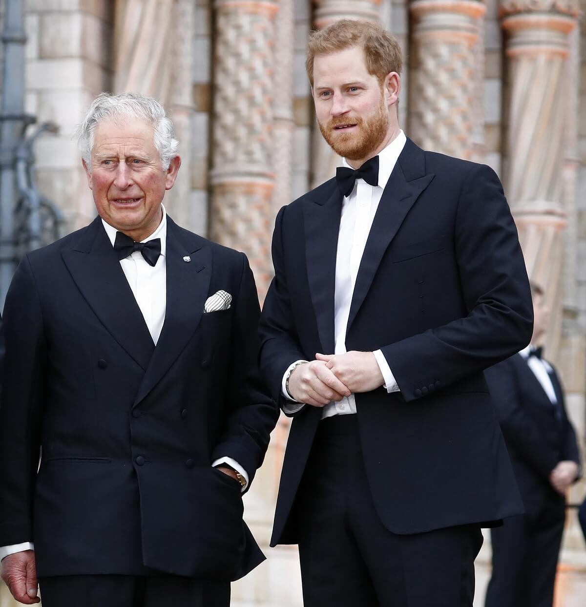 Now-King Charles and Prince Harry at the 'Our Planet' global premiere in 2019
