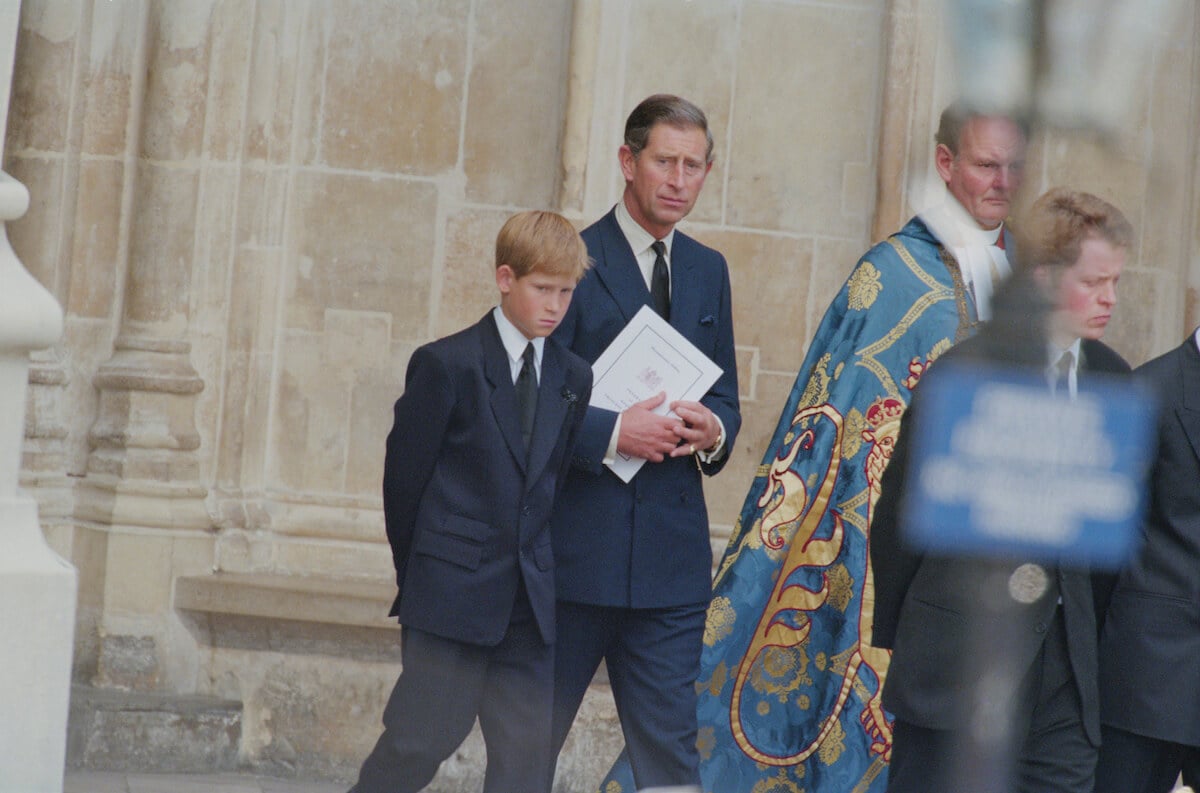 Prince Harry and King Charles III at Princess Diana's funeral