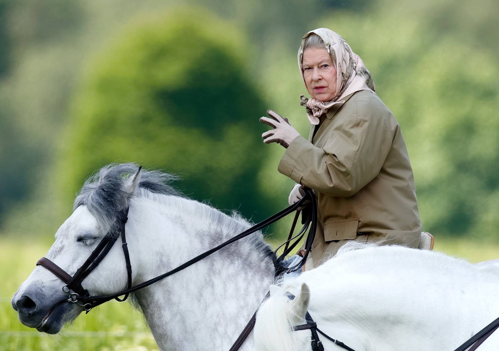 Queen Elizabeth II rides a white horse.