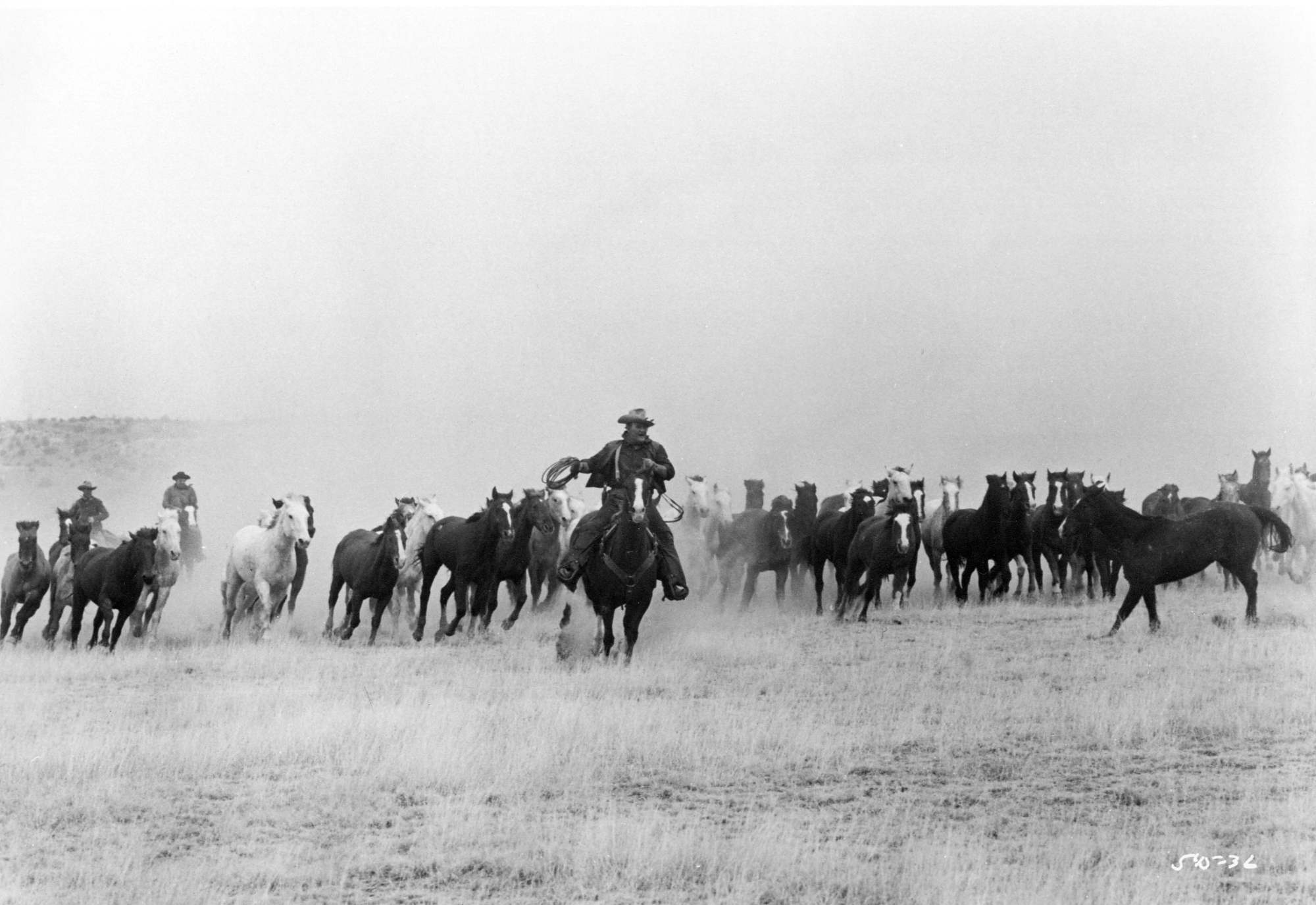 'The Cowboys' John Wayne as Wil Andersen riding his horse in a field followed by a herd of other horses.