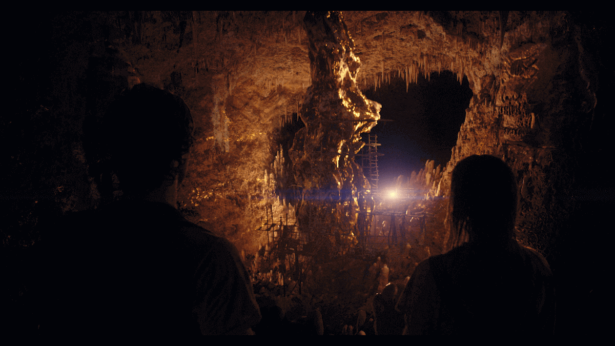 John B. (Chase Stokes) and Sarah (Madelyn Cline) stare at the 'gold tree' VFX artists created in 'Outer Banks' Season 3