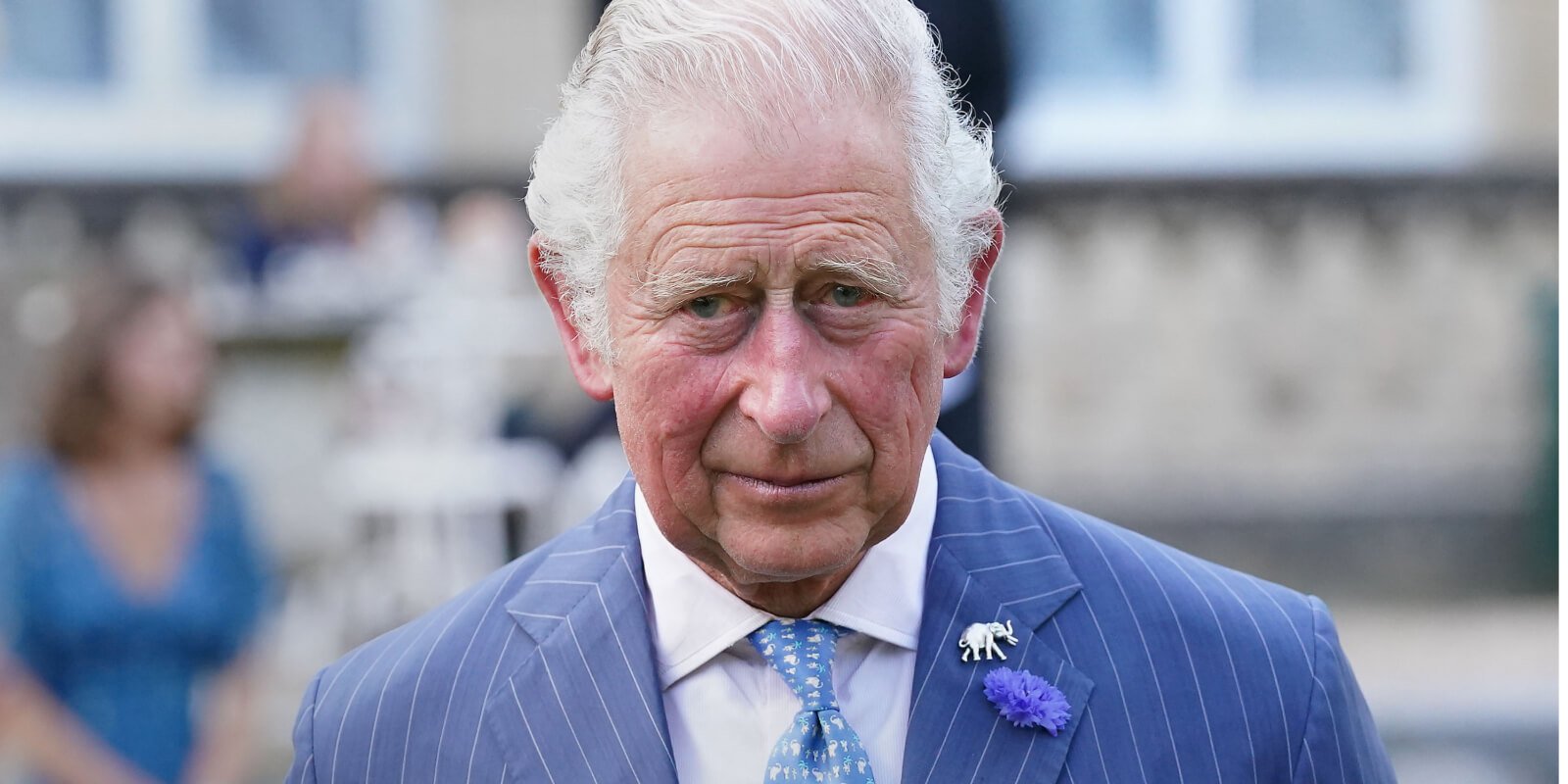 King Charles III attends the "A Starry Night In The Nilgiri Hills" event hosted by the Elephant Family in partnership with the British Asian Trust at Lancaster House on July 14, 2021 in London, England.