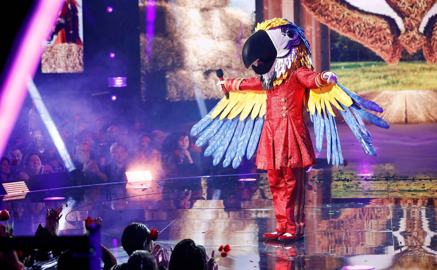 ‘The Masked Singer’ Season 9: All the Evidence Macaw Is This ‘American Idol’ Heartthrob